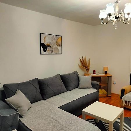 Kelizual Apartment Gornji Milanovac Exterior photo